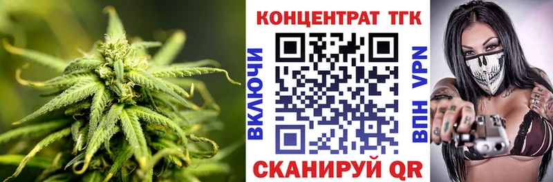 ТГК концентрат  Купить где  Кашин 