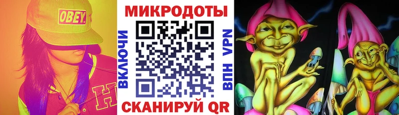 Купить где  Кашин  Галлюциногенные грибы мухоморы 