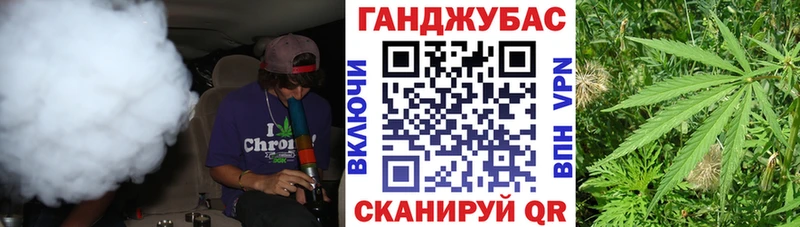 Купить  Кашин  Конопля сатива 